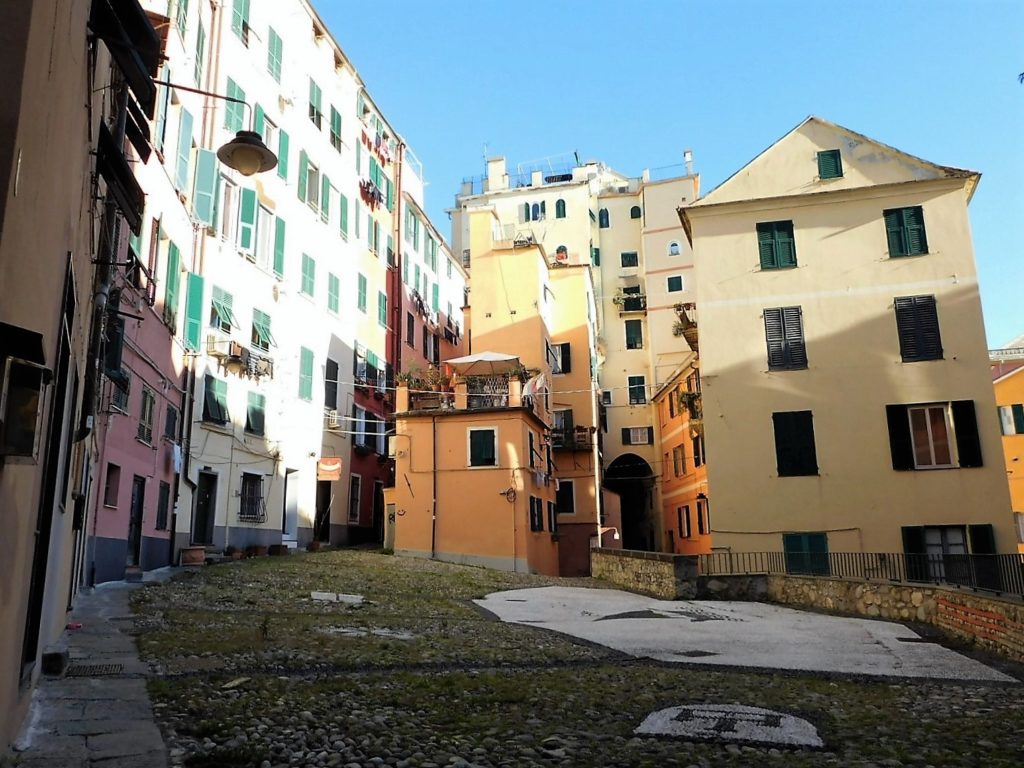 campo pisano