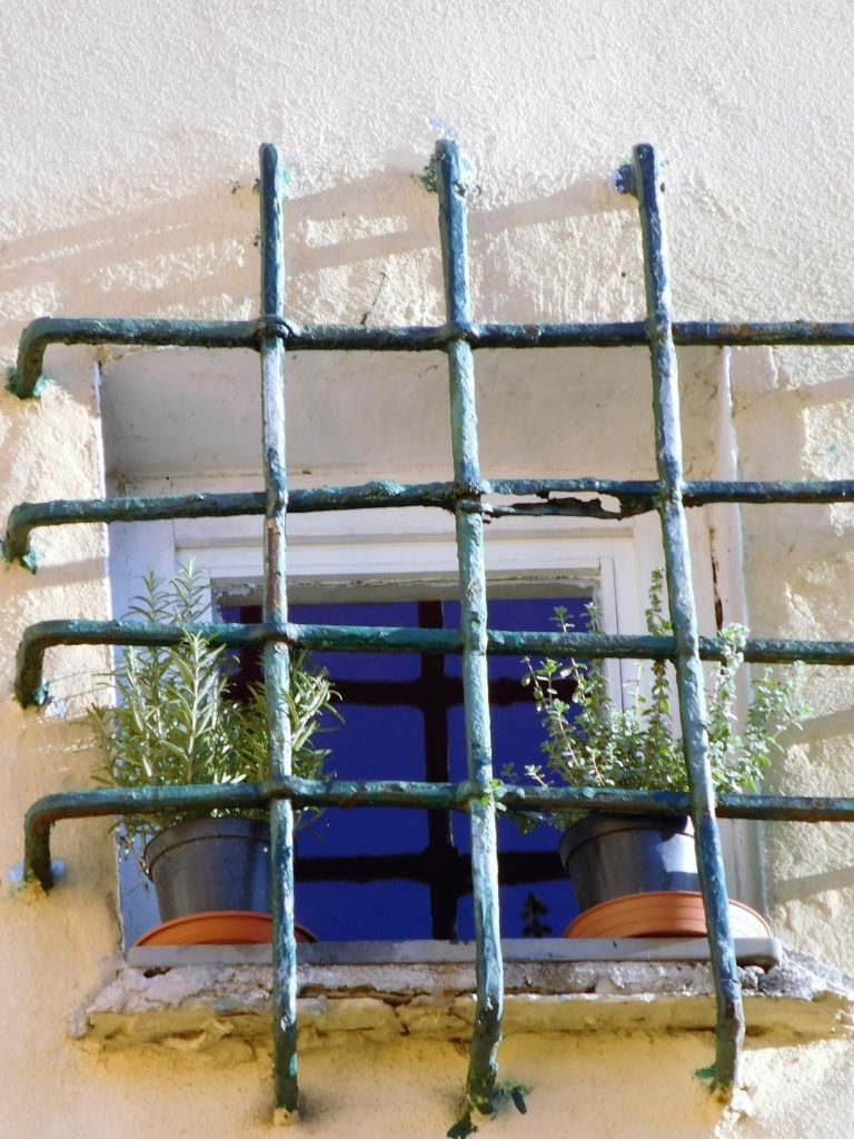 campo pisano