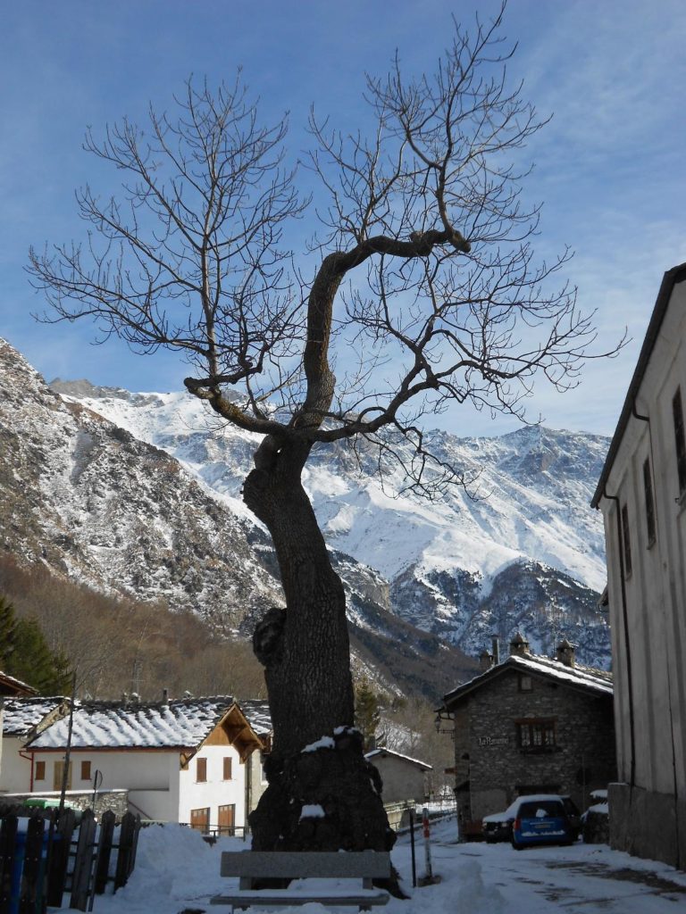 Moncenisio