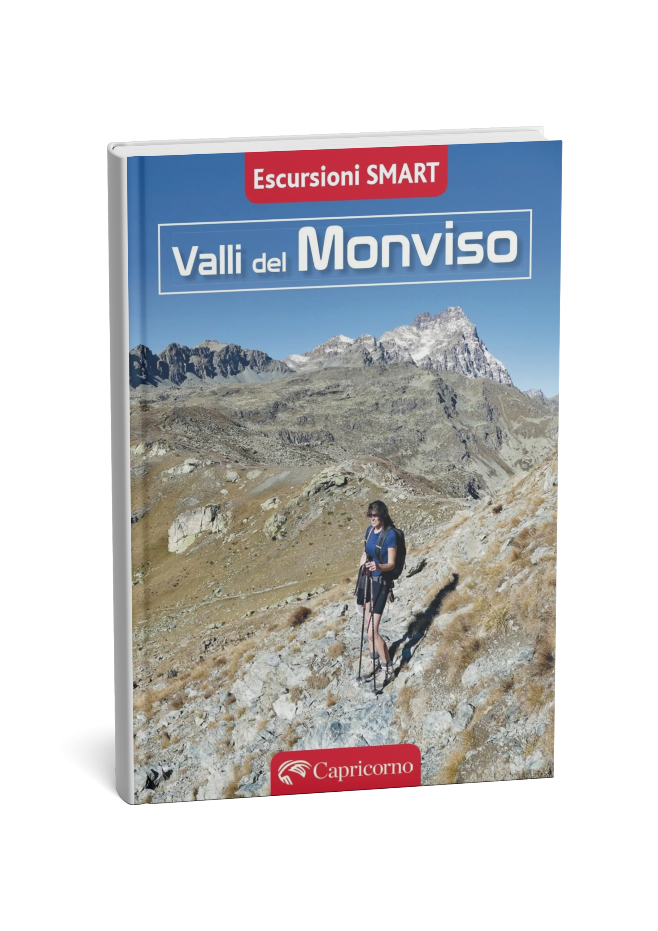 monviso